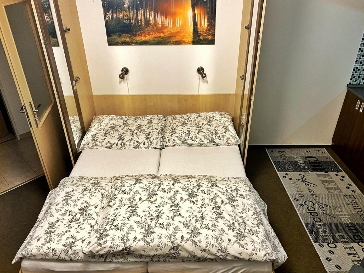Apartman Modra Hvezda Рокитніце-над-Їзероу Екстер'єр фото